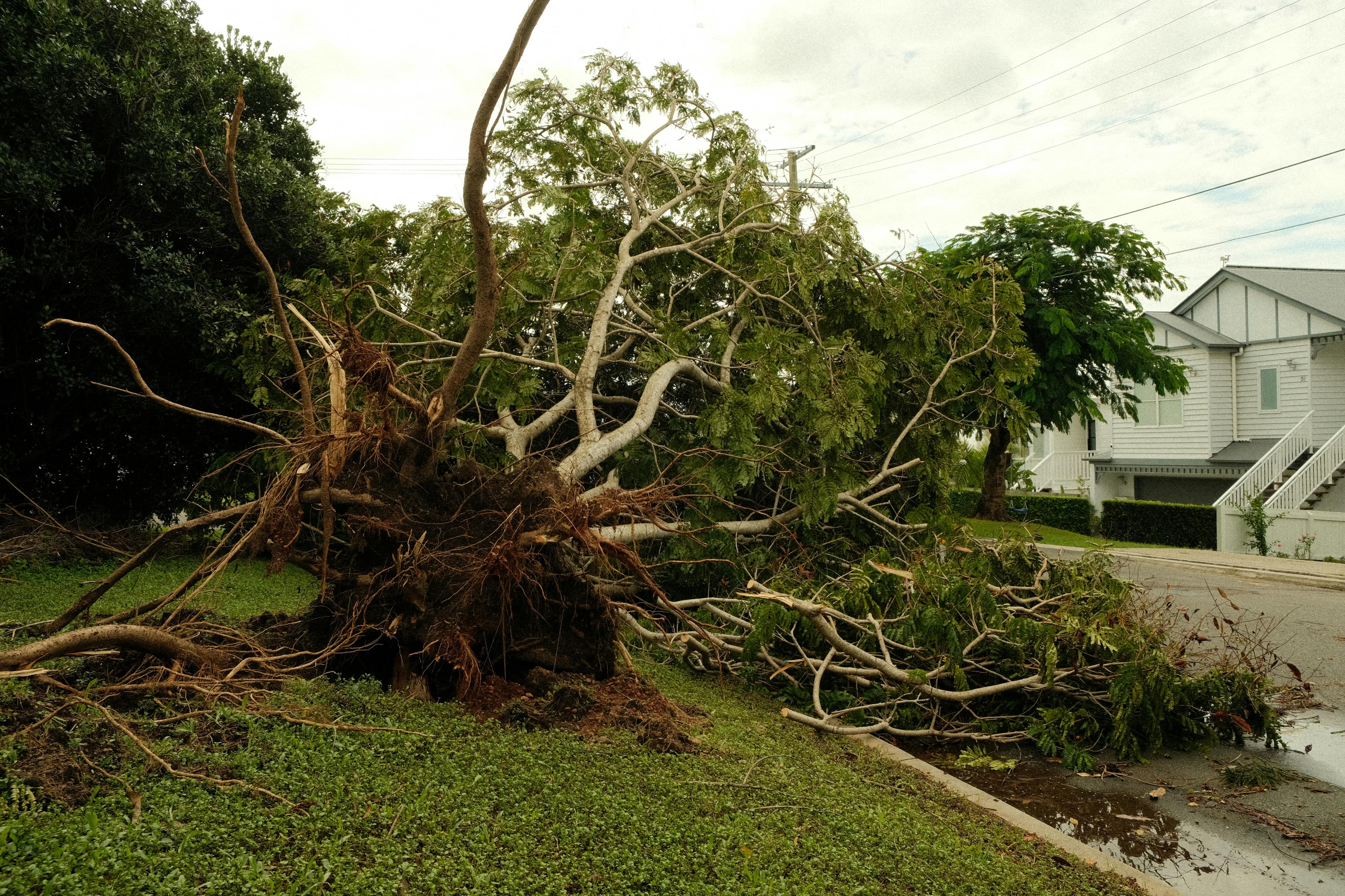 Storm Damage Restoration in Georgia: What to Do + Insurance Coverage